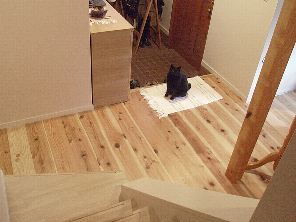 杉板の床とねこ　風樂房