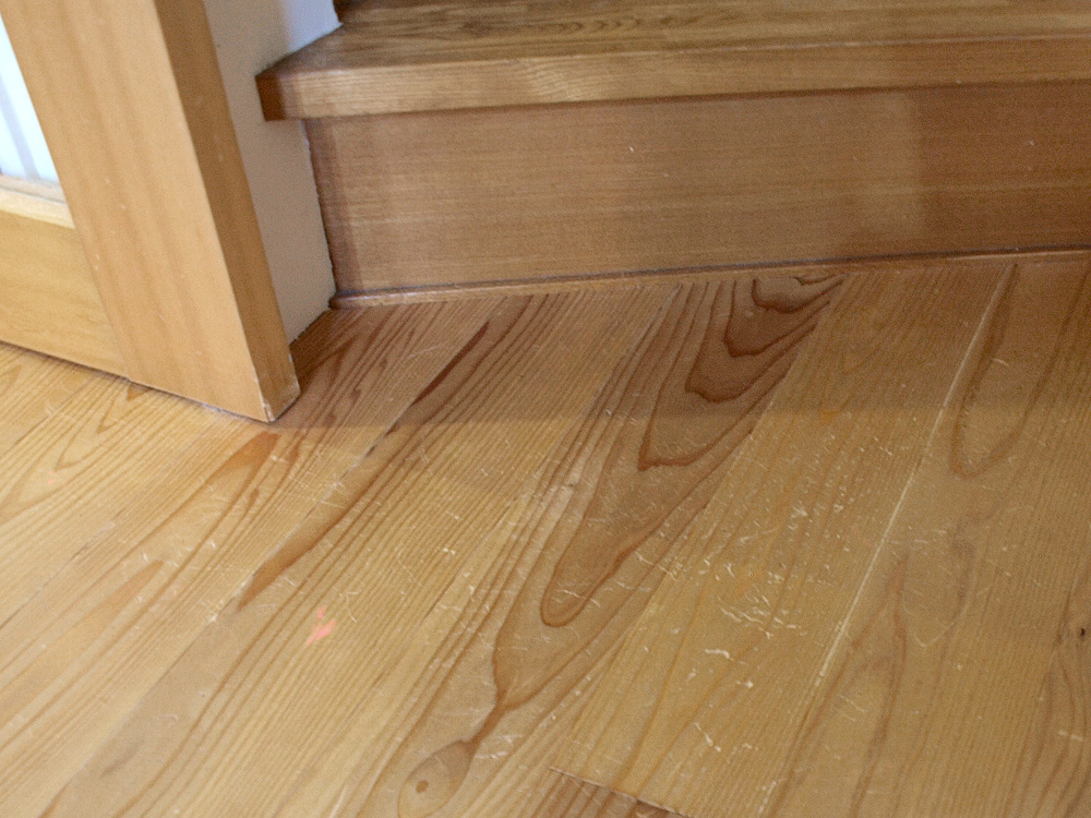 杉板の床とねこ　中野の家