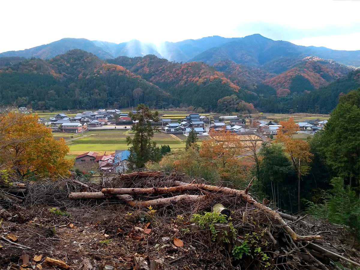 はじめての林業体験