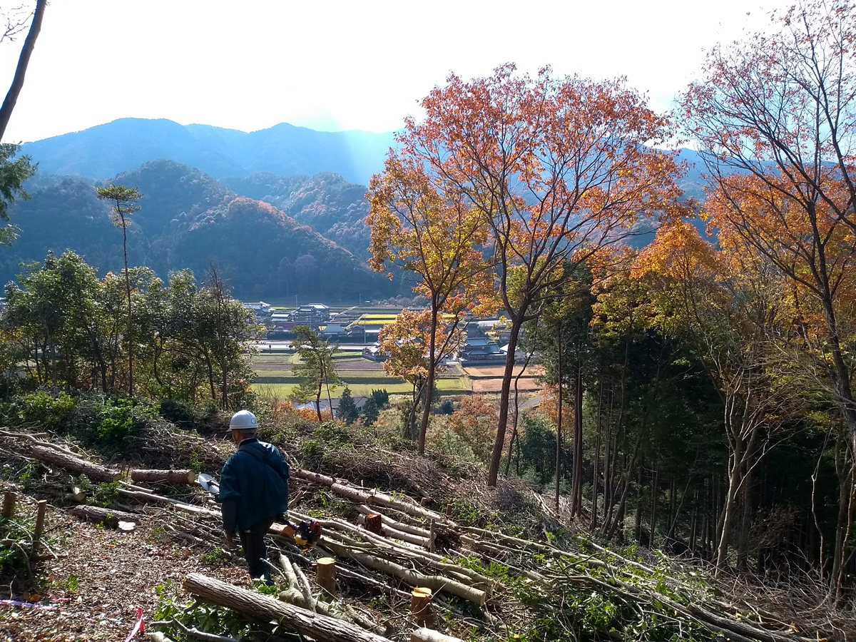 はじめての林業体験