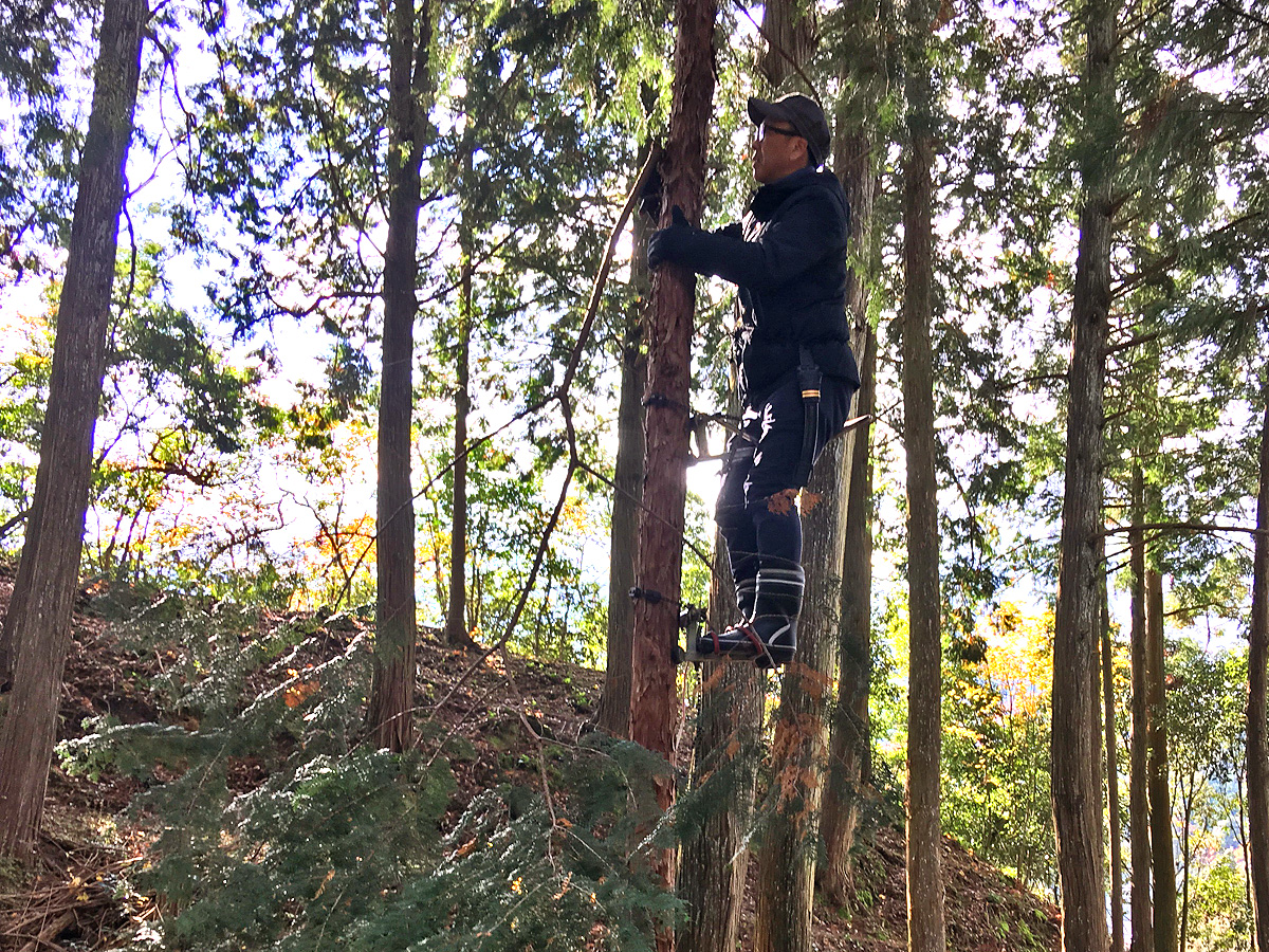 はじめての林業（体験）