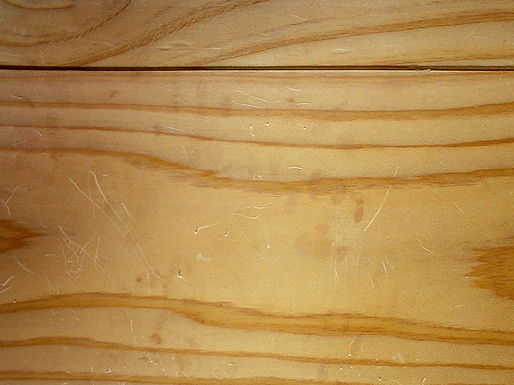 猫の足の汗じみ