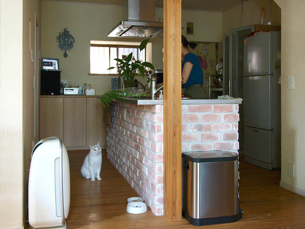 中野の家　インタビュー