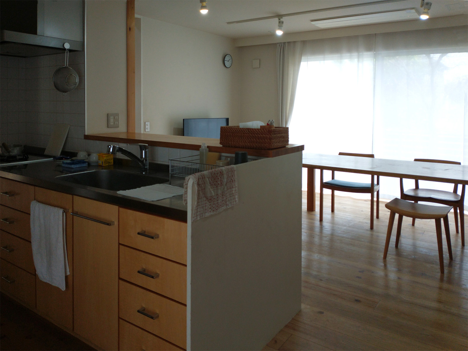 にしこいの家 12年目