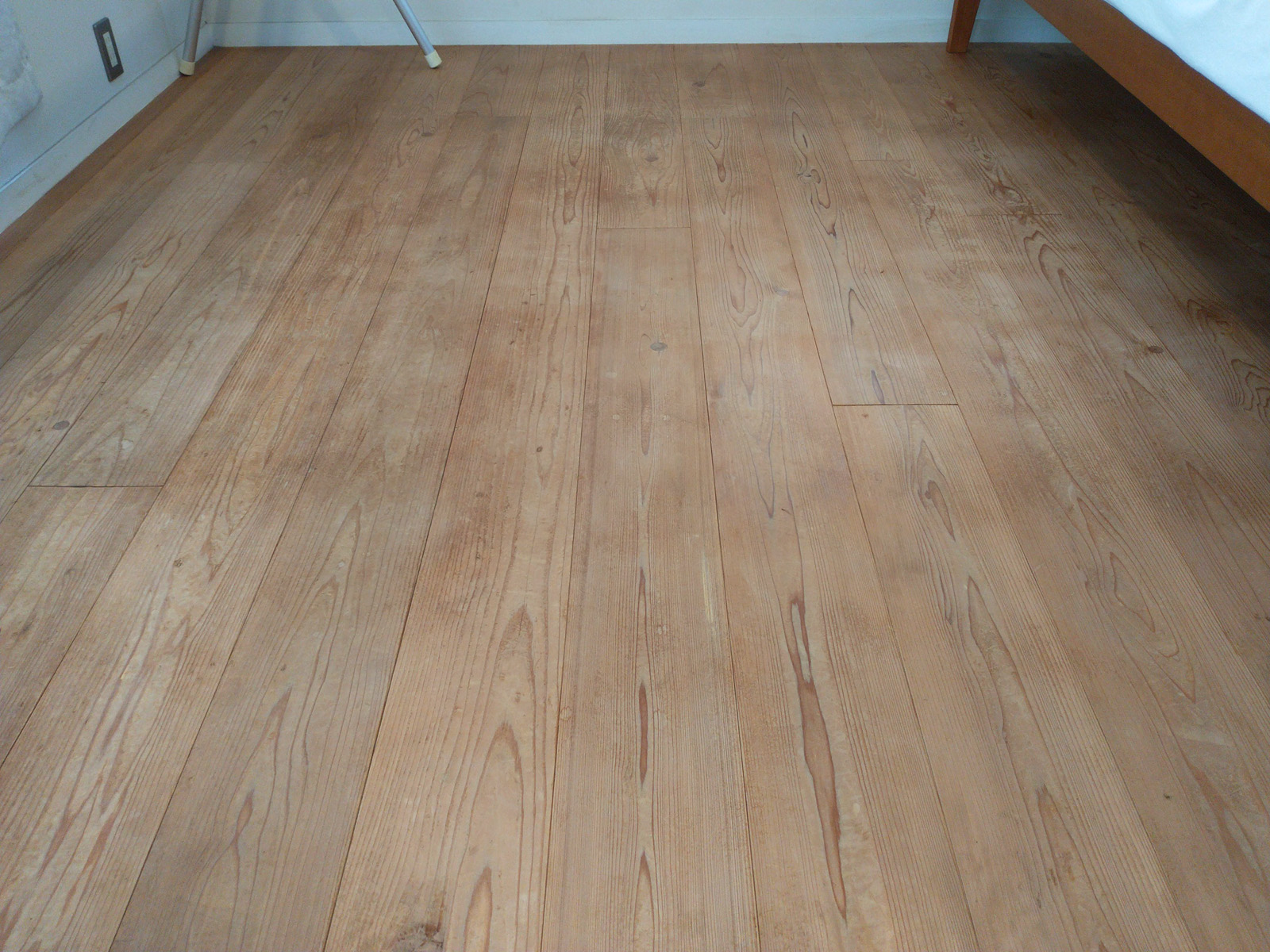 にしこいの家 12年目